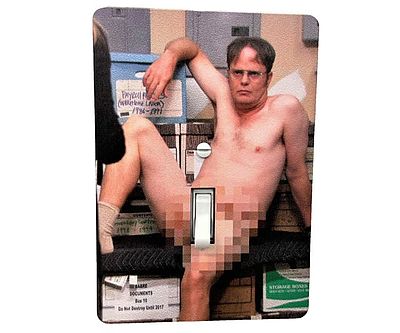 Dwight Schrute Light Switch Cover